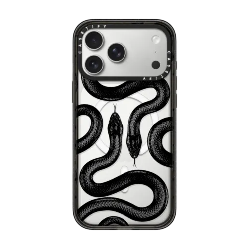 17 pro max snake cover